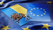 Посол ЄС упевнена, що агросектор України конкурентний і без євросубсидій