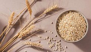 Ціни на ячмінь в Україні продовжують падати, але їх підтримає низька урожайність та дощова погода