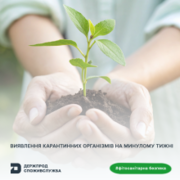 Фітосанітарна безпека: за тиждень проведено 13 907 аналізів відібраних зразків