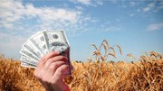 Ціни на чорноморську пшеницю зараз найнижчі на світовому ринку