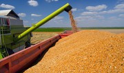 "Астарта" розглядає продаж агроактиву на Чернігівщині: АМКУ погодив потенційну угоду