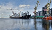 Частка агропродукції в структурі експорту зросла до 56%