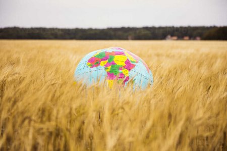 Зростання населення Африки створює нові можливості і виклики для аграрного ринку