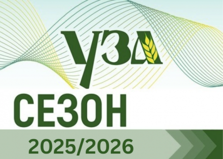 Підсумки сезону 2025/2026: експорт зернових та олійних – 41,1 млн т