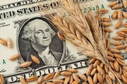 Світові ціни на пшеницю зросли до максимуму за два тижні через атаки на порти
