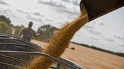 Альтернативні шляхи зможуть забезпечити максимум 50% експорту агропродукції