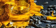 Соняшник нового врожаю в Україні оцінюють значно дешевше за старий
