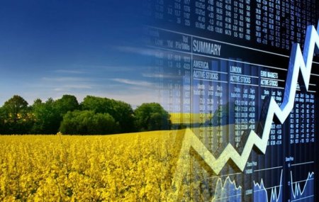 Ставки фрахту на костери з Дунаю стабілізувалися, а фрахт на баржі продовжив зростати