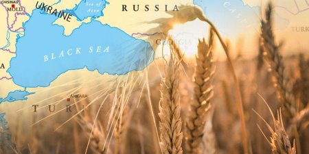 Одночасне випадіння України та росії з ринку може спровокувати нову світову зернову кризу