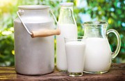 Україна у вересні наростила торгівлю молокопродуктами: імпорт перевищує експорт лише за двома позиціями