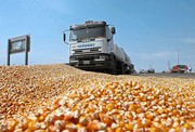 Уряд знайшов рішення зменшити дефіцит водіїв у агросекторі