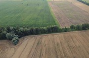 Скільки коштує гектар паю в Україні у 2026 році