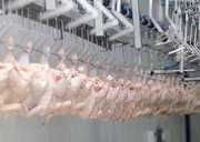 За 9 місяців експорт м'яса птиці зріс на 12,3%