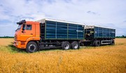Найбільший дефіцит вантажівок-зерновозів фіксують у п'яти областях України
