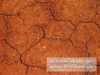 Захист від посухи - органічне землеробство