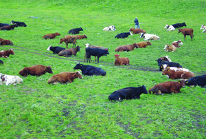  Ефективність використання земельних і трудових ресурсів села