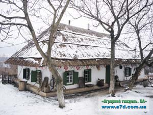 Зимние прогулки Украиной
