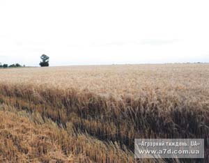 Біологічний стан і родючість ґрунтів України
