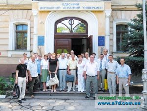 Червона білопояса – гордість українських селекціонерів