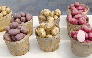 Картоплярство в Україні