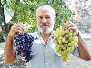 «Виноградний калейдоскоп» Одещини