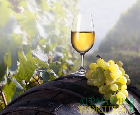Санкції проти кримських виноробів не вплине на роботу українських виноробів