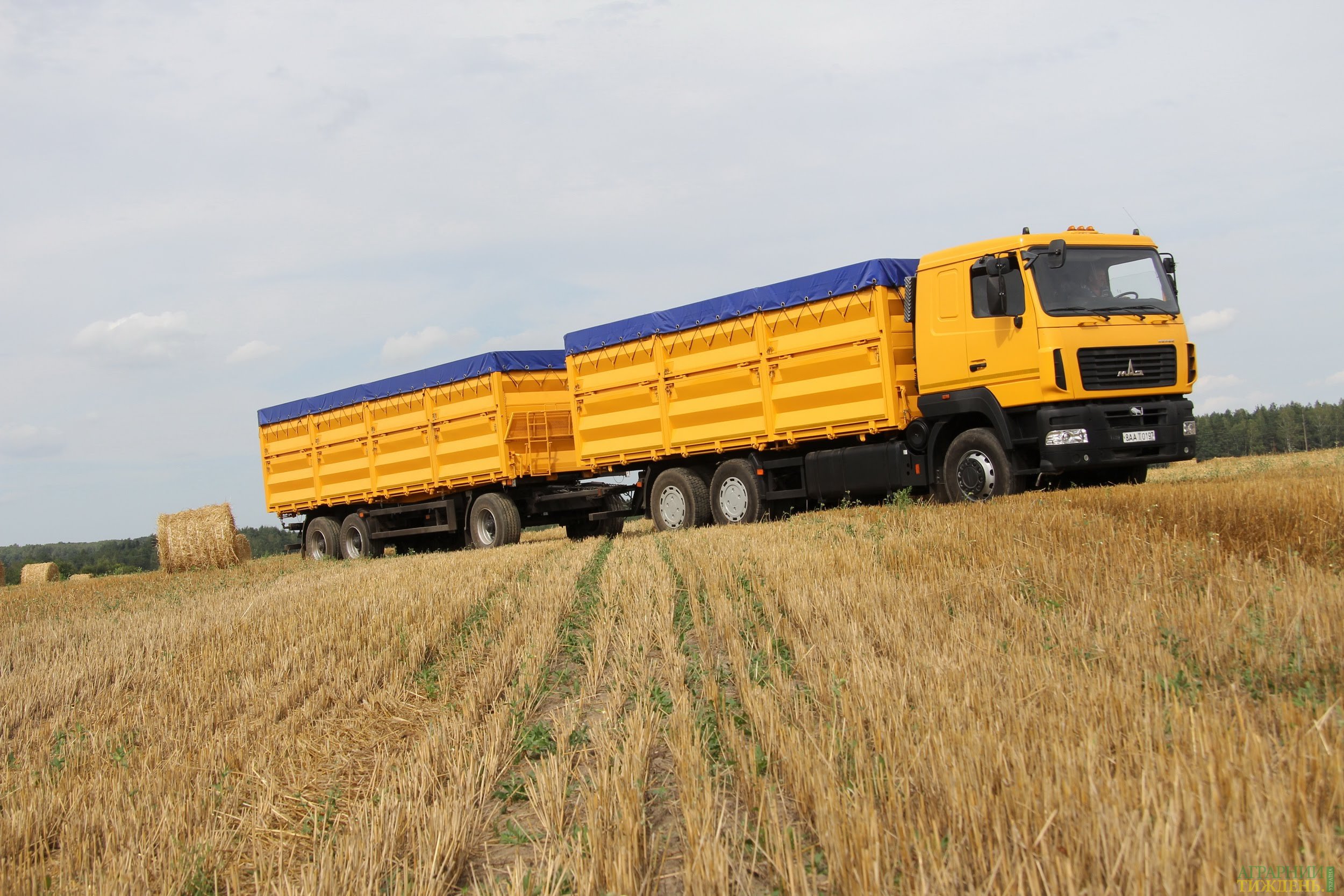 В июле-мае 2016/17 МГ Украина увеличила экспорт зерна на 13%