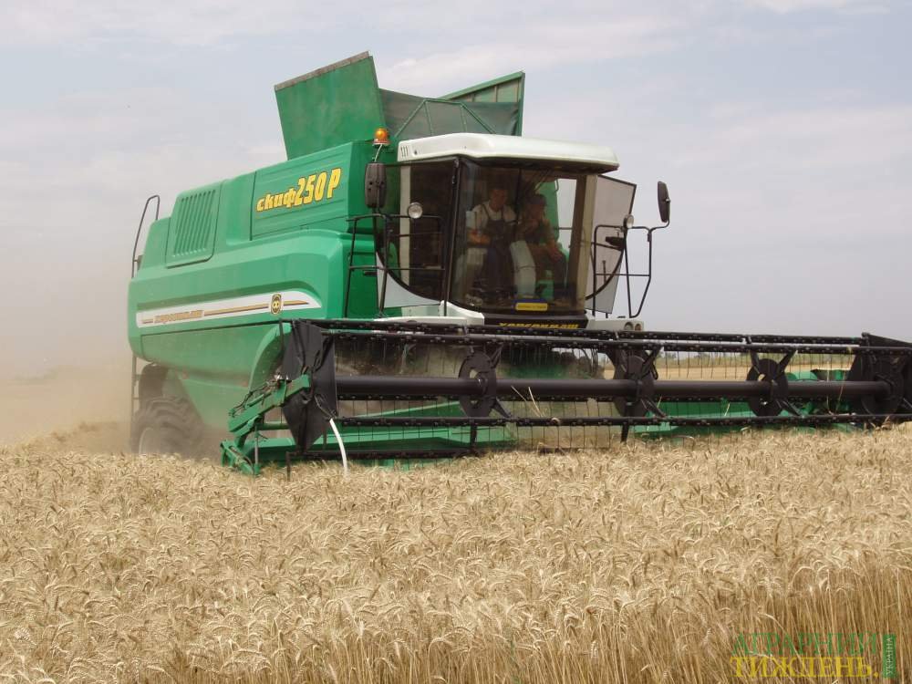 Чому Україна щорічно втрачає на жнивах близько 7 млн тонн зерна?