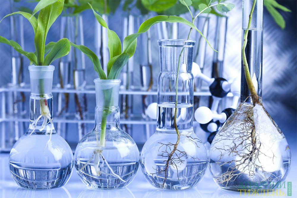 Биотехнологии обеспечивают ежегодный прирост урожая до 2,5%