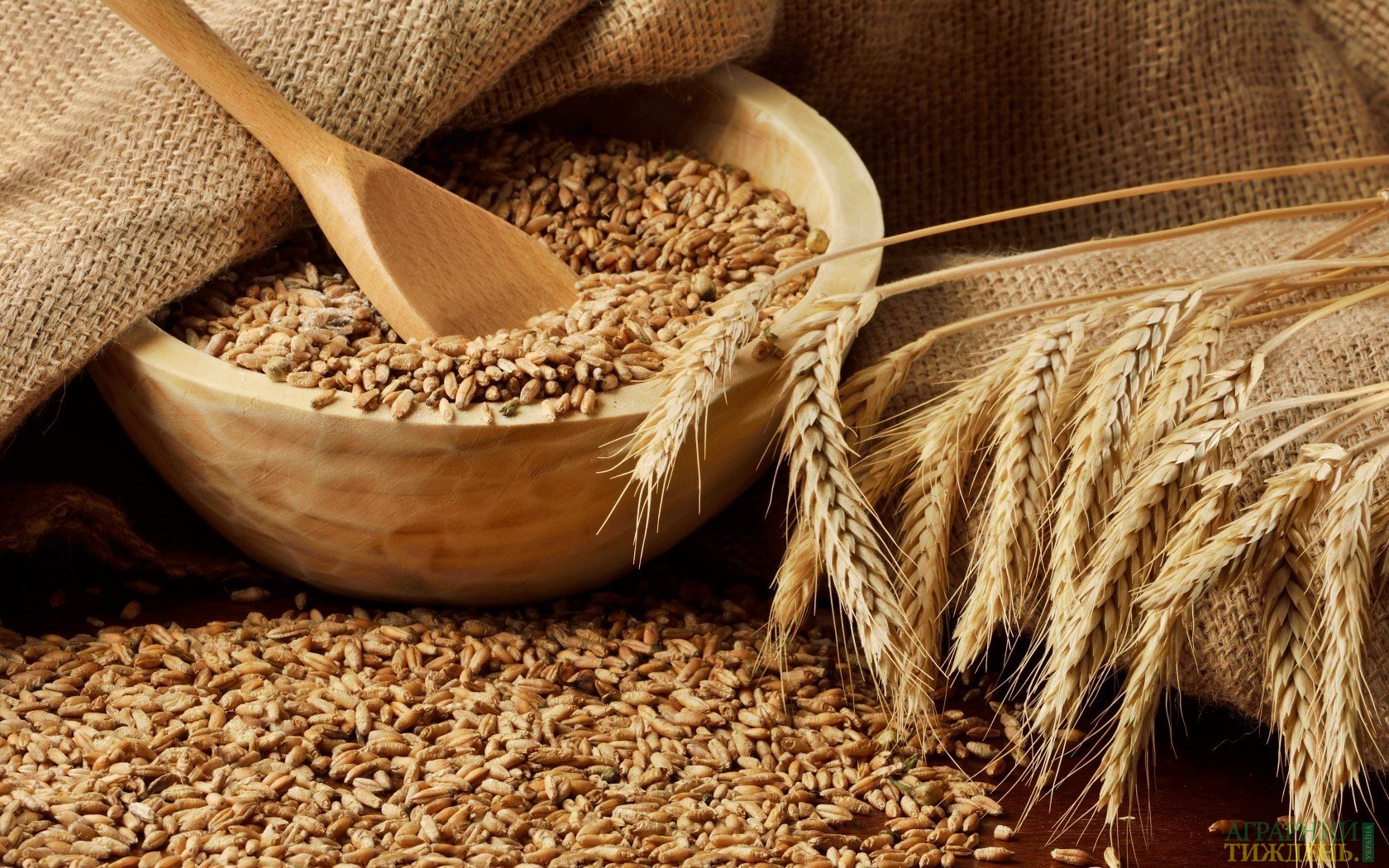 Рост цен на пшеницу и ячмень