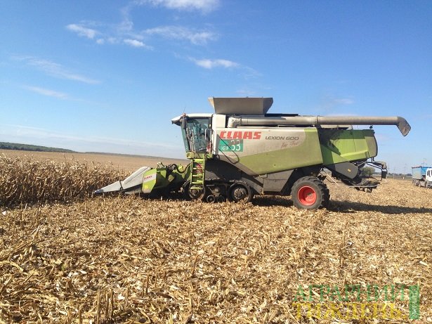 В Україні посіяно майже 90% озимих зернових