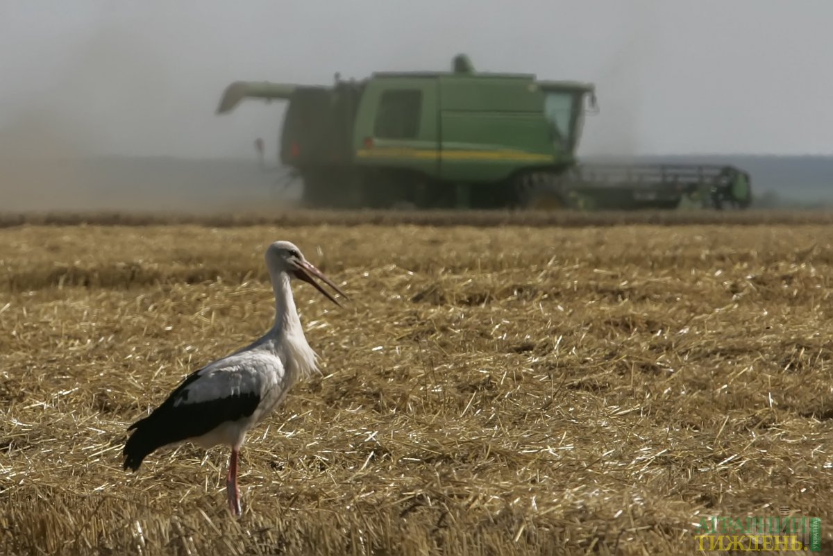ФАО надає рекомендації щодо законодавства України у сфері консолідації земель
