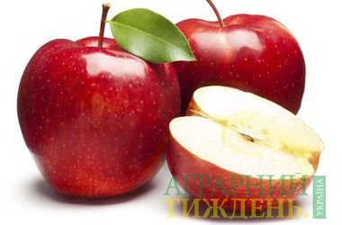 За останні сезони ціна на українські яблука впала в 4 рази