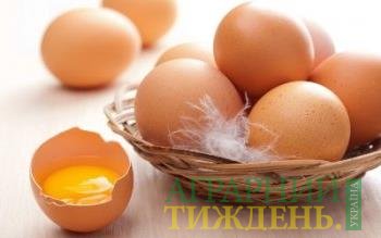 Вкруту: споживання яєць в Україні впало на чверть
