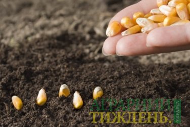 Посівна-2018: засіяно перший мільйон гектарів кукурудзи