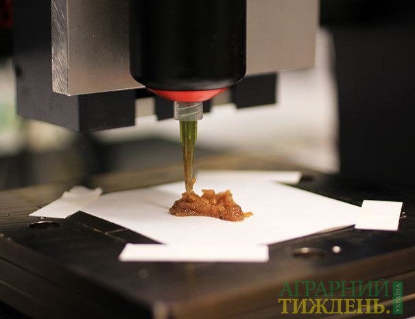 3D-принтер напечатал еду из криогенной муки