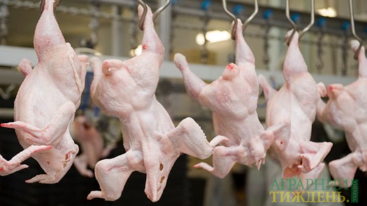 Українці за рік з’їдають мільйон тонн курятини — все дорожчої
