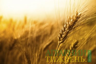 ДПЗКУ продовжує укладання договорів по закупівлі зерна врожаю 2018 року