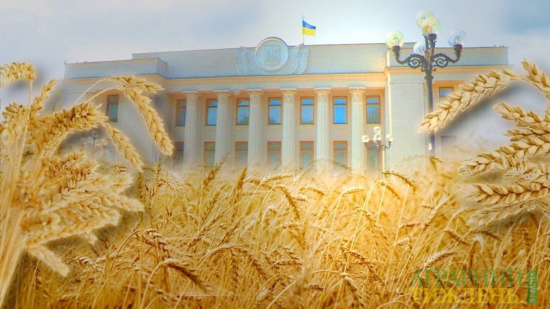 Україна за 26 років свого існування так і не має закону про аграрну політику