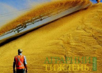 Украина к 13 июня экспортировала 38,15 млн тонн зерновых