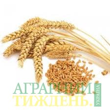 Мировые цены на пшеницу в 2018/19 МГ будут расти из-за высокого потребления