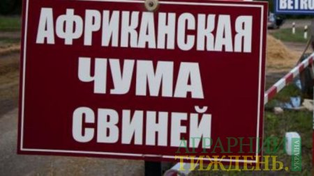 АЧС: нові випадки в Одеській та Дніпропетровській областях