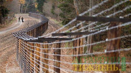 АЧС: польський міністр виступив проти будівництва паркану на кордоні з Україною