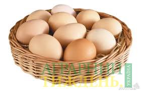 Экспорт яиц за 6 месяцев 2018 г. увеличился в 1,9 раза