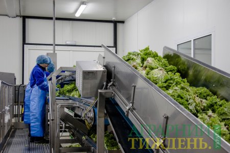 Прогнозують зріст ринку салатів України на 20%