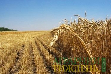 Жнива-2018: Аграрії 7 регіонів вже завершили збирання ранніх зернових