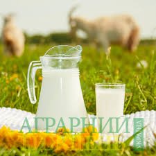 Асоціація виробників молока (АВМ) закликає українців боротись з фальсифікатом в молочній продукції.