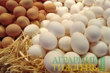 За півроку Україна збільшила експорт яєць на 43%