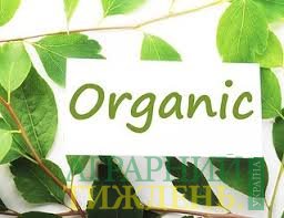 Кількість виробників органіки в Україні за 15 років зросла у 100 разів