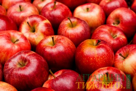 Світовими трендсеттерами серед яблук є сорти Гала та Голден